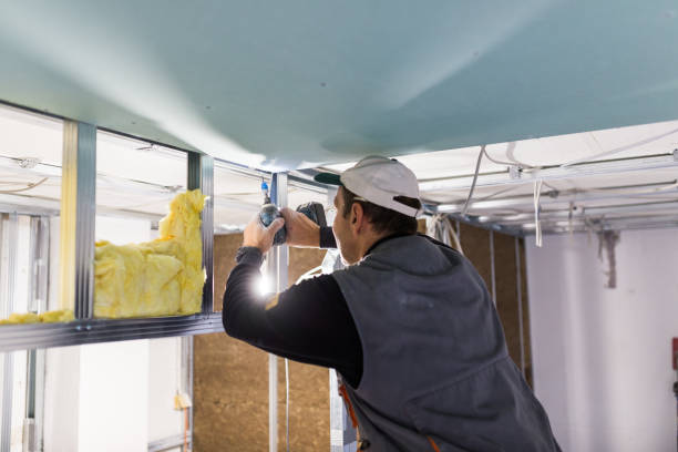 Best Commercial Insulation Services  in Long View, NC