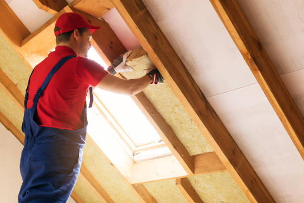 Best Spray Foam Insulation  in Long View, NC